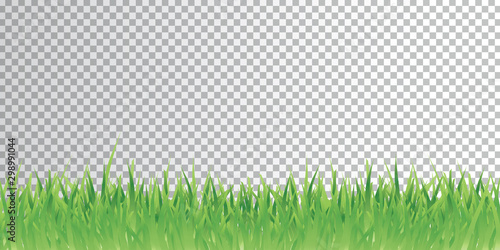 Grass illustration banner