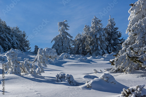 Winter view of Vitosha Mountain, Bulgaria