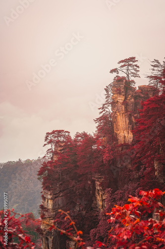 Auutumn in Zhangjiajie National Park photo