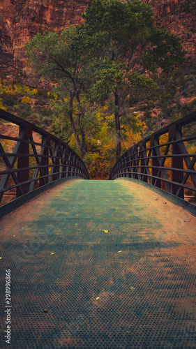 old wooden bridge in the forest