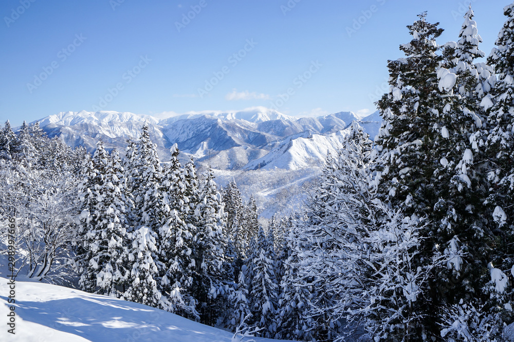 冬の国道17号線、青と白の雪景色