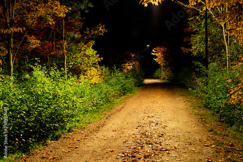 Canvastavla A fall night on the confederation trail in Charlottetown Prince Edward Island