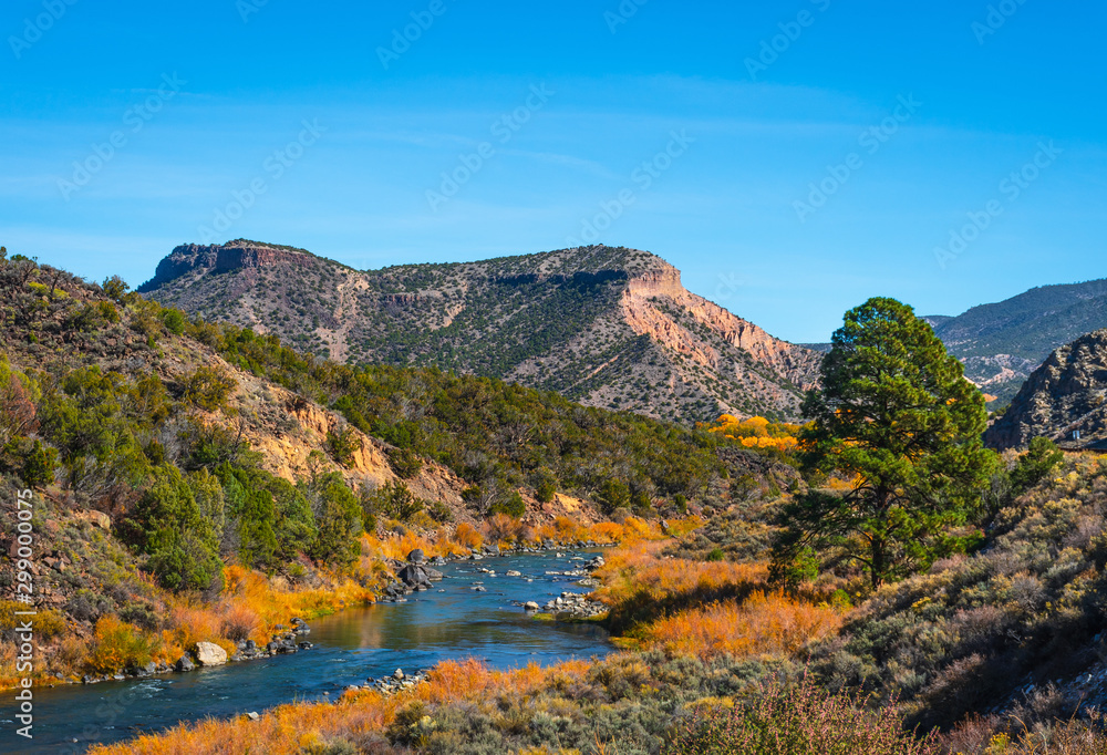 Beautiful autumn colors on Rio Grande river flowing through New Mexico	