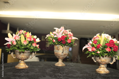 Wallpaper Mural Plantas Decoração Torontodigital.ca