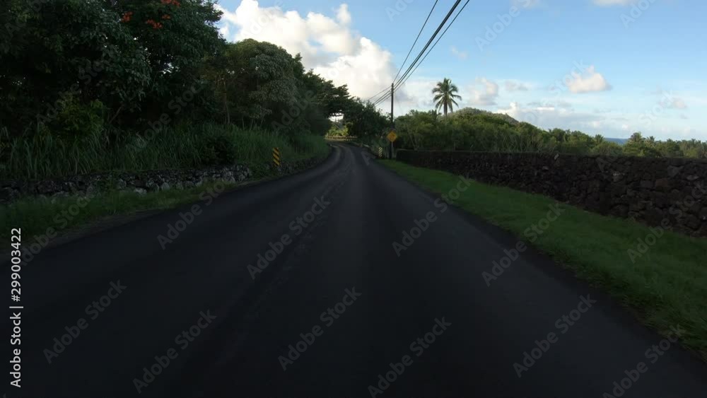 Driving Down a Shaded Rural Road in Maui, Hawaii Driving Down a Shaded Rural Road in Maui, Hawaii