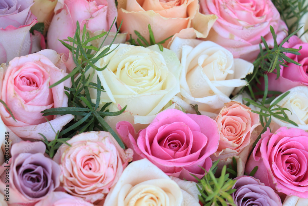 Mixed pink roses Mixed pink roses