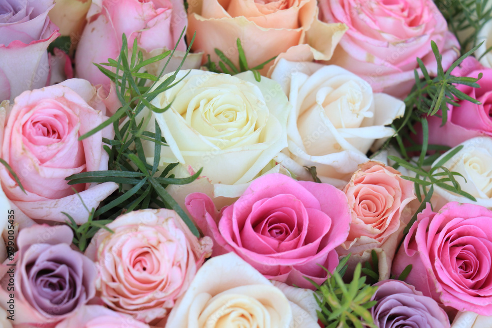 Mixed pink roses