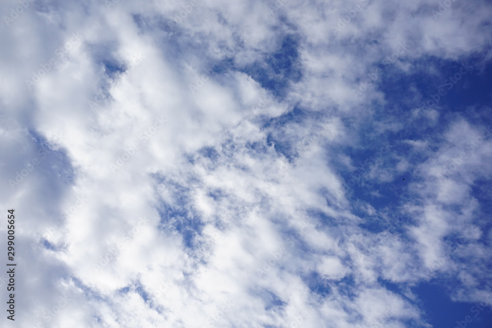 Obraz premium blue sky with white clouds