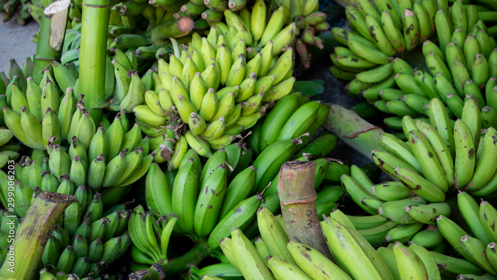Fresh green banana directly from local farmers as superior products. Fruits with lots of vitamins for the diet menu