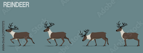 Set of walking reindeer.