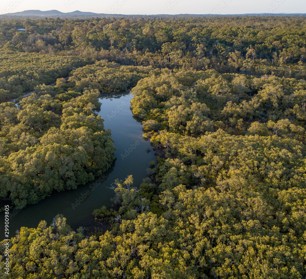Aerial of a small river in the middle of a wet landscape with small trees, mangroves. Perfect relaxing view for yoga, kayak or jogging, walking at sunrise Aerial of a small river in the middle of a wet landscape with small trees, mangroves. Perfect relaxing view for yoga, kayak or jogging, walking at sunrise