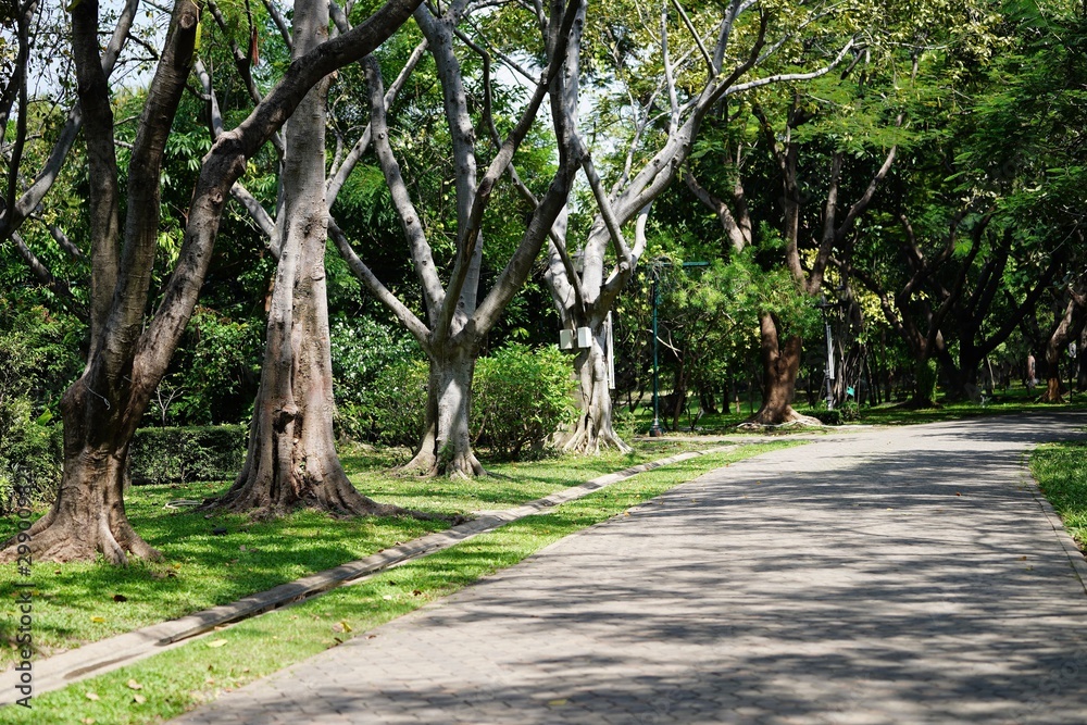 alley in the park