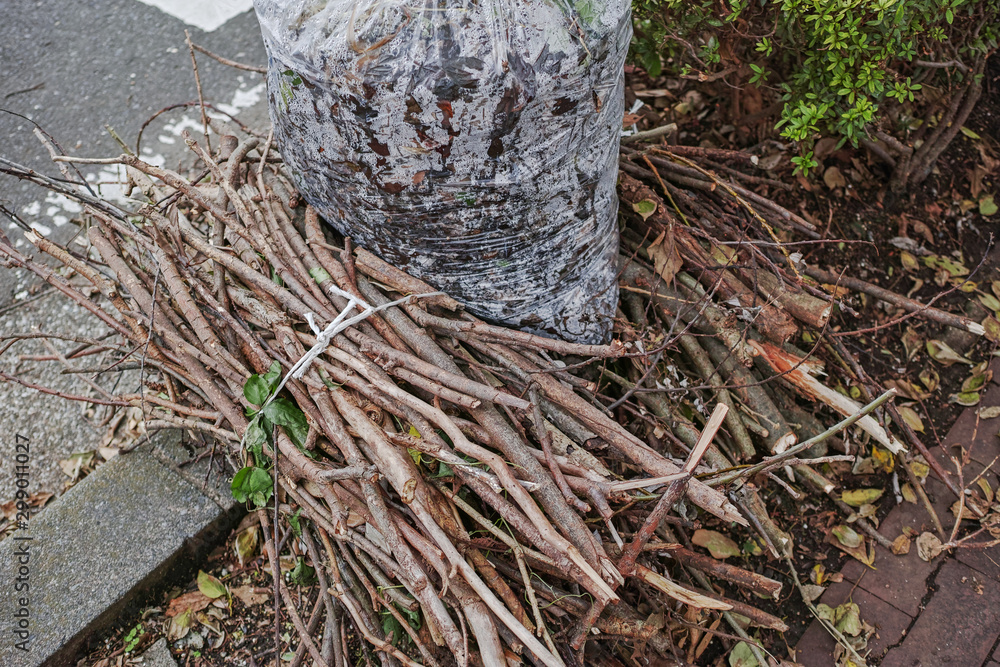 紐で縛った剪定枝とビニール袋に入った枯葉のゴミ Stock Photo Adobe Stock