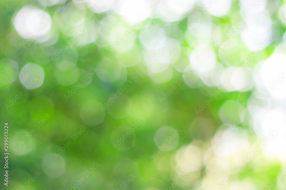 Fototapeta premium Natural green background, blur, bokeh. Can be used as a background.