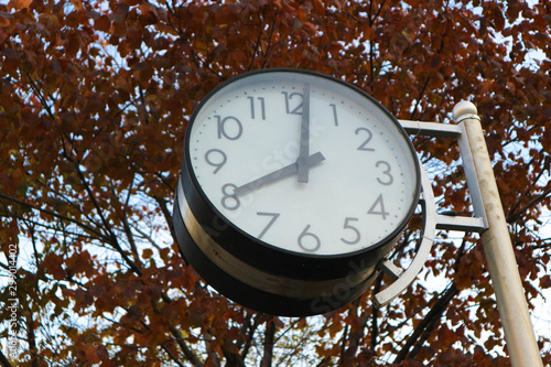 city street clock on colorful autumn leaves background