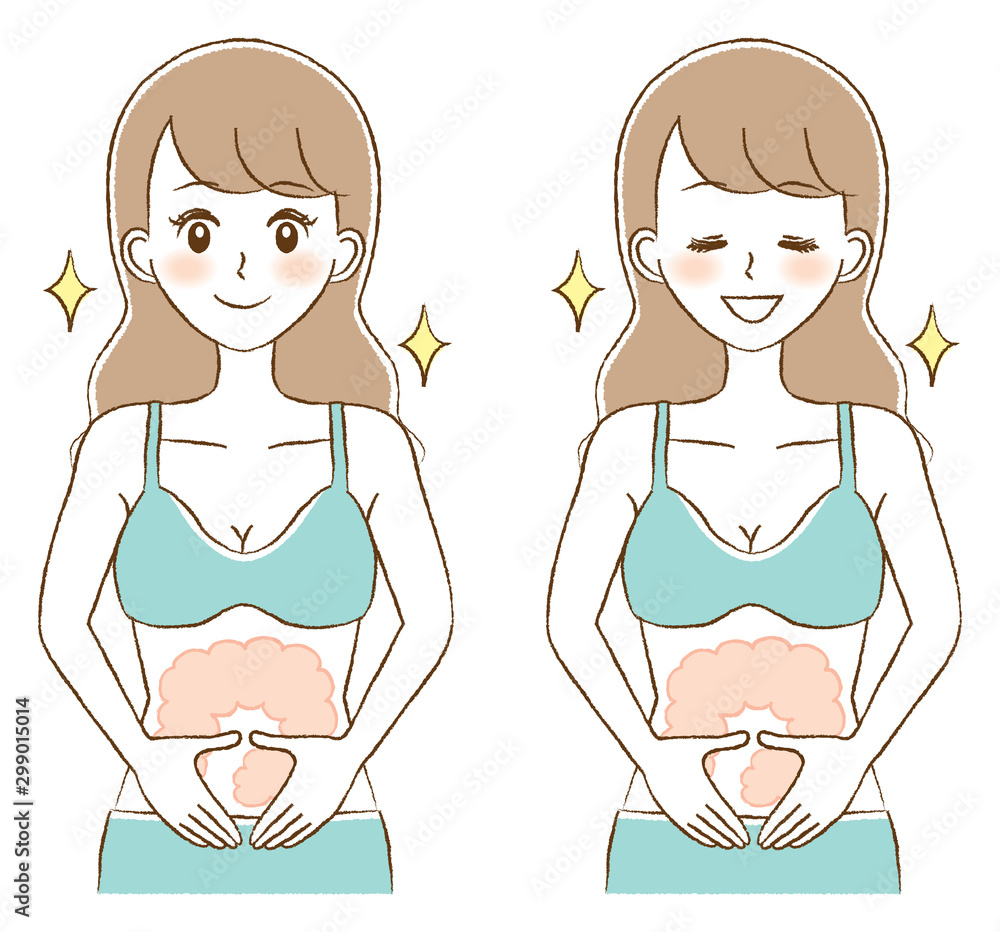 illustration of improve intestinal environment illustration of improve intestinal environment