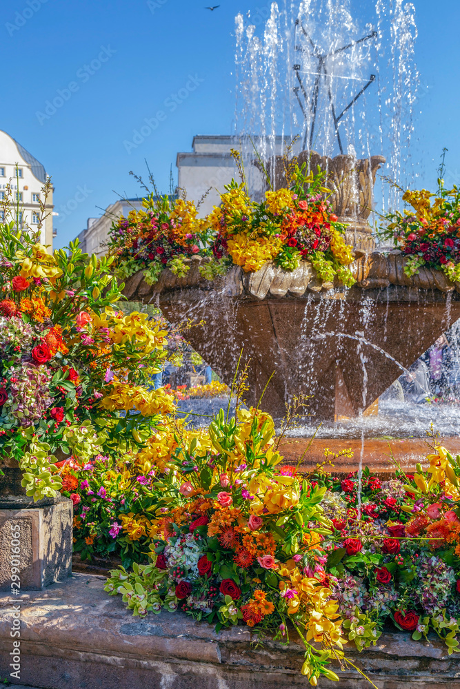 Fototapeta premium Floral decorations in Victory Square, Timisoara, Romania