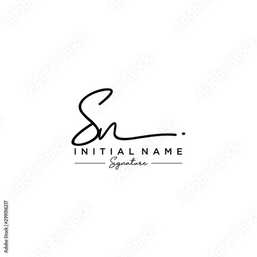 Letter SN Signature Logo Template Vector