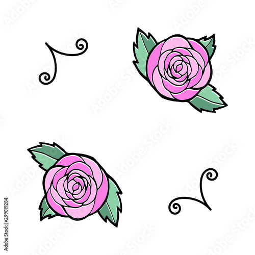 Beautiful hand drawn illustration of peony on a white background.