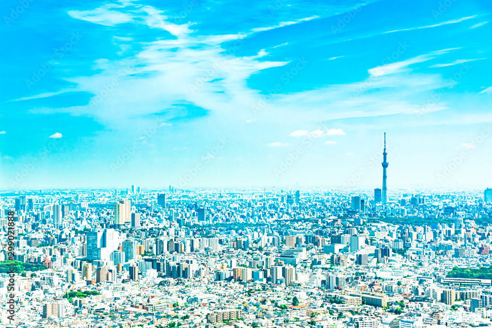 Obraz premium スカイツリーの見える風景