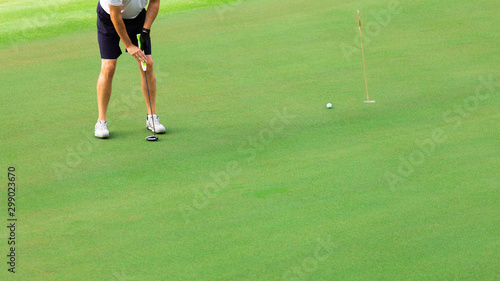 Golfer putting golf ball on the green golf,