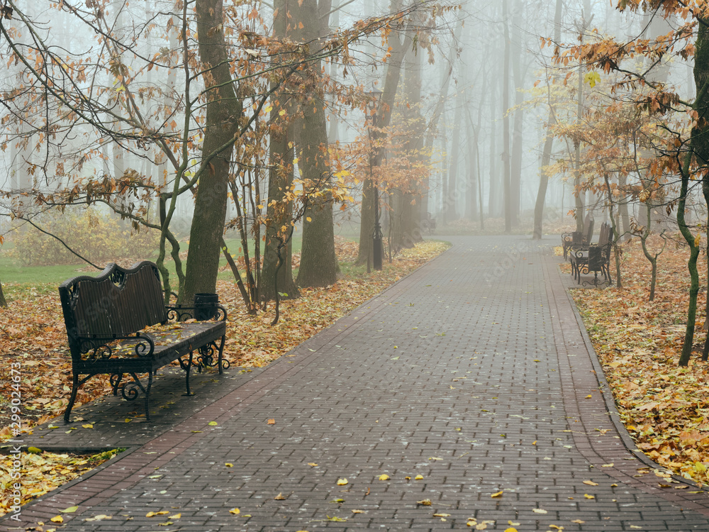 cozy benches in a city foggy park in the fall. Gomel, Belarus