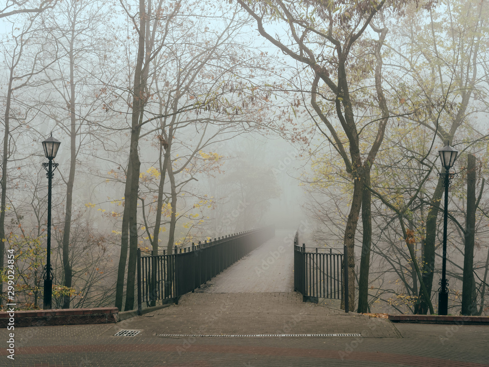 Obraz premium foot bridge in the fog in the fall. Gomel, Belarus