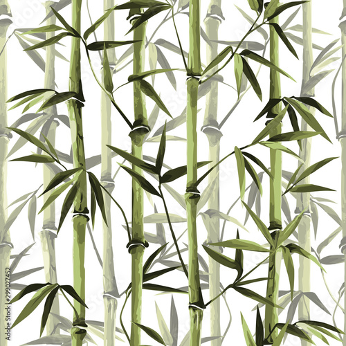 Fototapeta Naklejka Na Ścianę i Meble -  Bamboo Seamless Vertical Border on white background