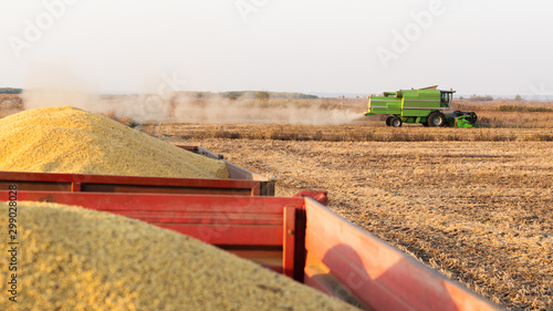 Combine harvester harvesting soybean at field.