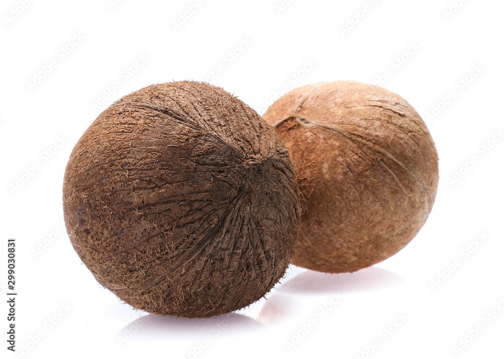 coconuts isolated on white background coconuts isolated on white background