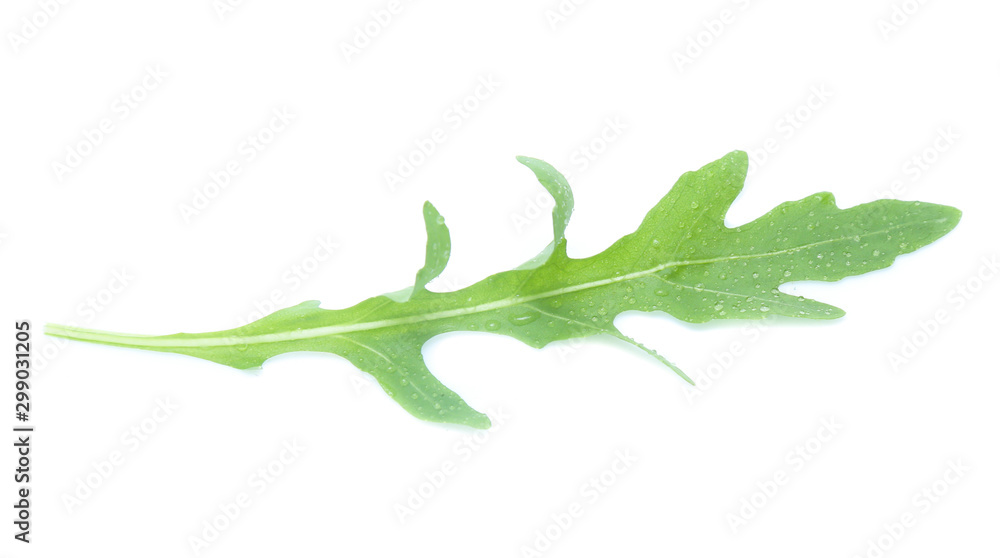 green fresh rucola leaves isolated on white background. Rocket salad or arugula green fresh rucola leaves isolated on white background. Rocket salad or arugula