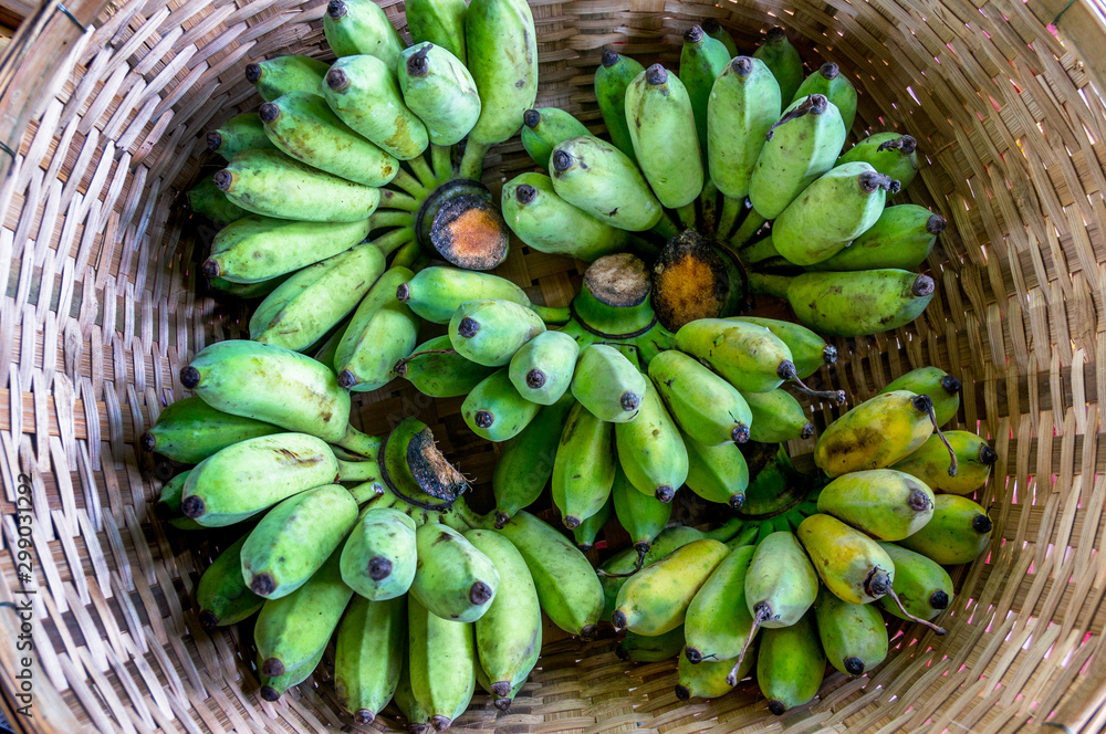 Close up Raw Cultivated Banana in Bamboo basket Close up Raw Cultivated Banana in Bamboo basket