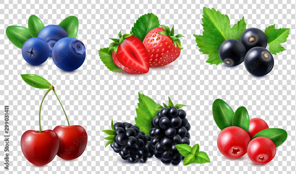 Realistic Berries Set - obrazy, fototapety, plakaty 