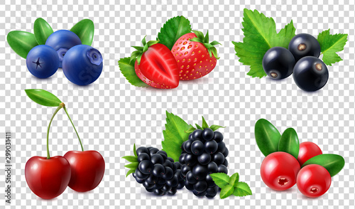 Realistic Berries Set