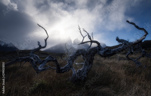 Torres del Paine, Southern Patagonia Andes, Chile