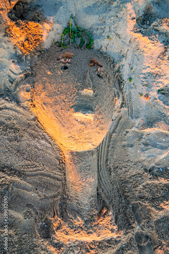 The face of the man, the sea sand sculpture made on Cala Violina beach at the sunset which will disappear forever in a few hours with a flow of the sea