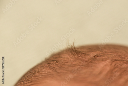 Photos hair of a newborn baby. child head, fontanel on the head