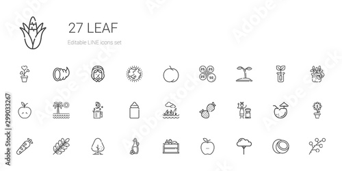 leaf icons set