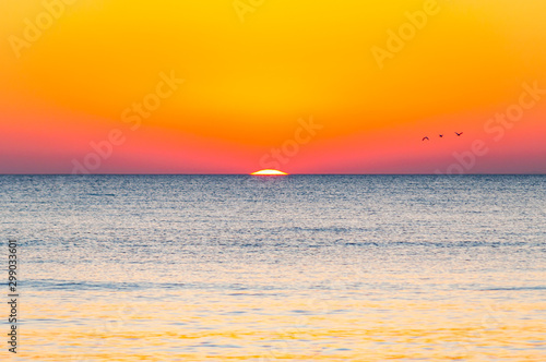 The last seconds of the amazing sundown. Three birds flying above the horizon, a bit of the sun star sphere is showing up above the sea. Vibrant sunset on Cala Violina beach