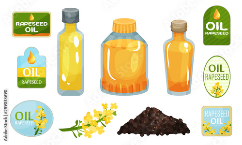 Vegetarian Rapeseed Oil Bottles Vector Set. Different Glassware With Raw Edible Liquid.