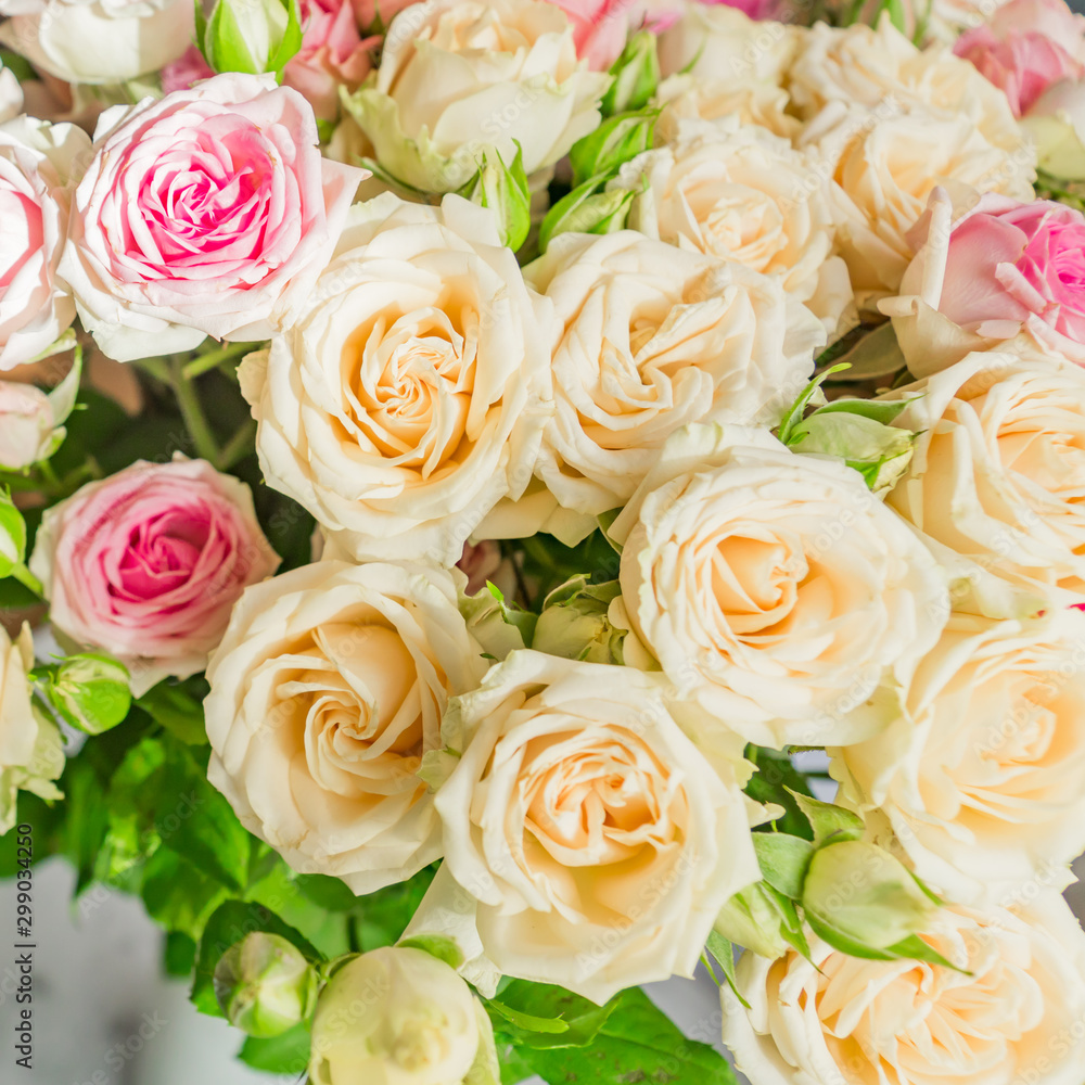 Beautiful background of pink and beige roses. Greeting card for holidays Beautiful background of pink and beige roses. Greeting card for holidays