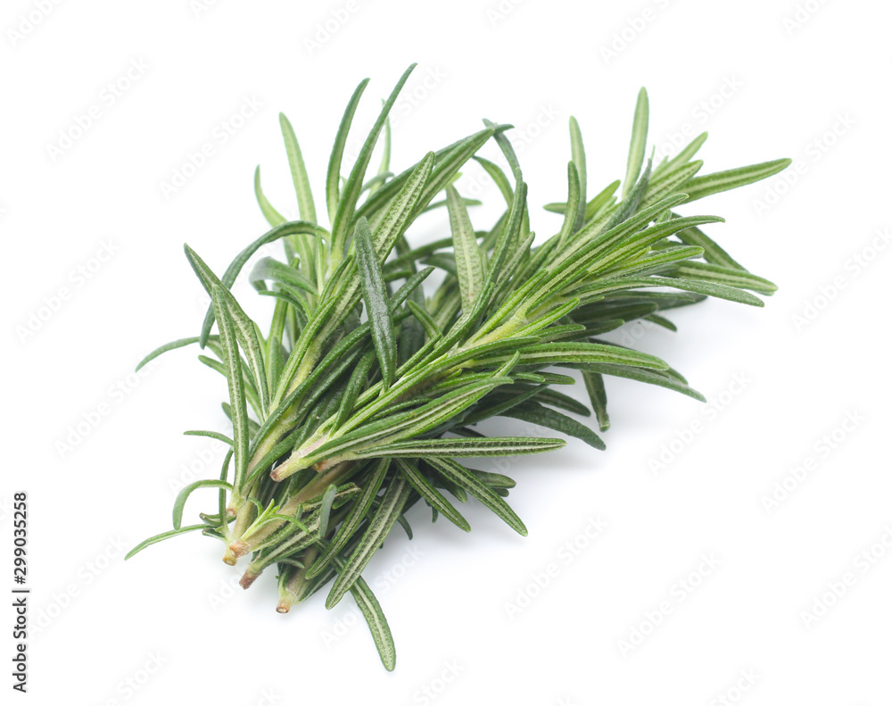Fototapeta premium rosemary isolated on white background