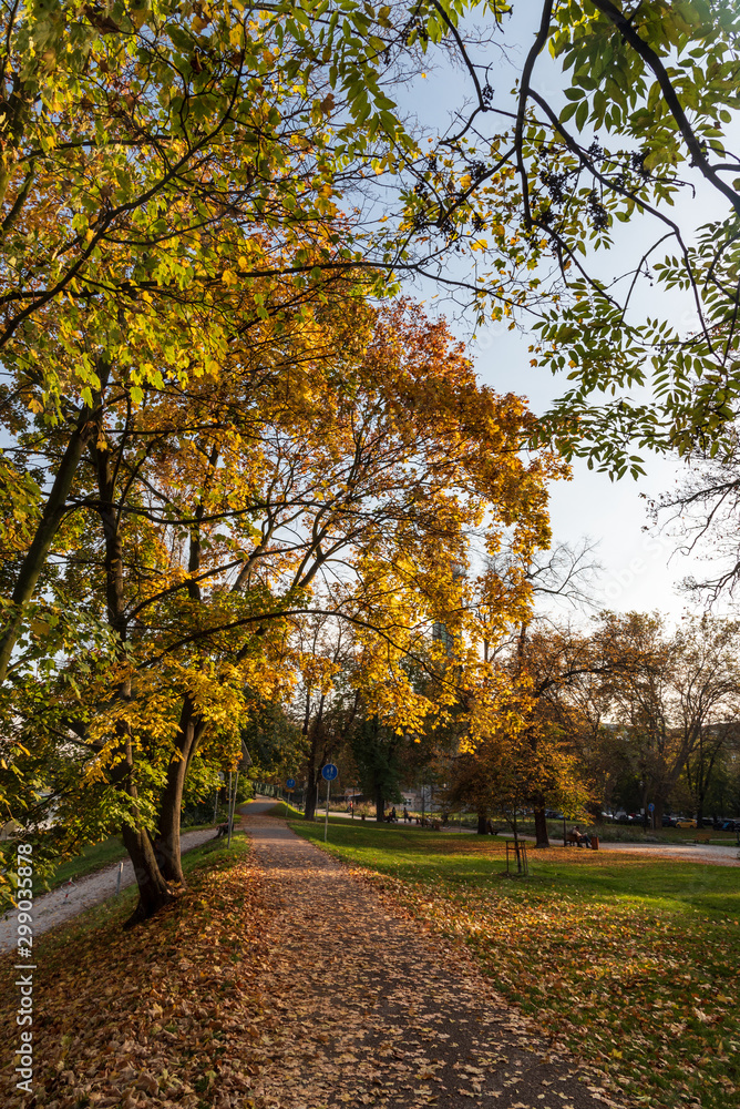 Naklejka premium Komenskeho sady public park with colorful trees and fallen leaves in Ostrava city in Czech republic