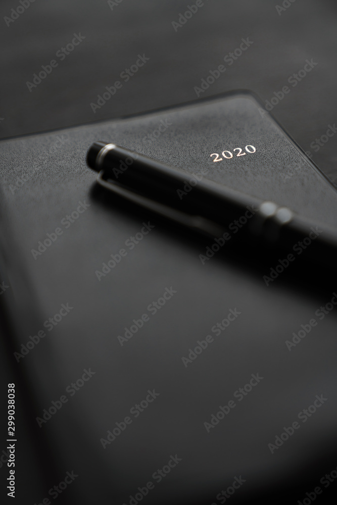 ペンと手帳2020 ペンと手帳2020