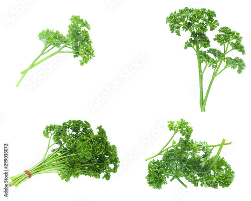 Parsley isolated on white background (set  mix   collection)