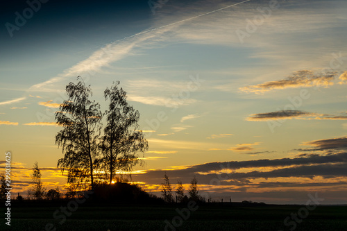 Beautiful dark sunset with tree silhouettes