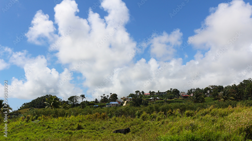 Idyllic Caribbean dwelling among lush greenery (Guadeloupe, Basse-Terre, France) Idyllic Caribbean dwelling among lush greenery (Guadeloupe, Basse-Terre, France)