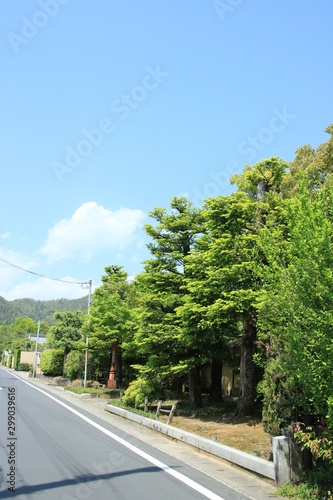 京都　嵯峨野の風景