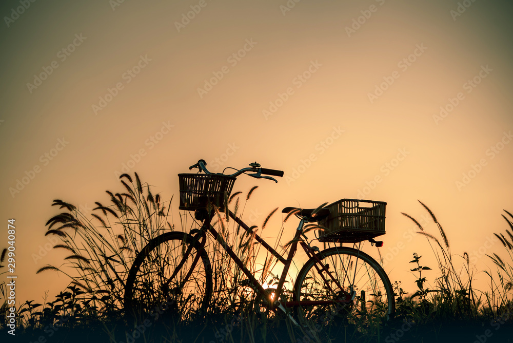 Retro bicycle in fall season grass field, warm meadow tone