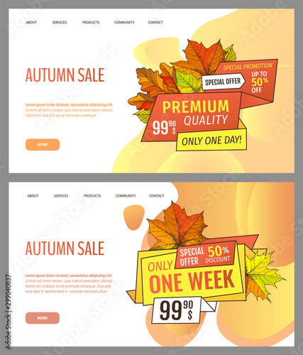 Set of cards with seasonal proposition from store, vector. Shop sale in autumn. Autumnal offer discounts. Fall leaves with gold tags. Flyer hot price and lowered cost, promotion premium quality goods
